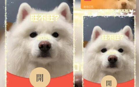 [微信红包封面趣味系列]2024旺旺旺