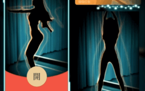 [微信红包封面黑丝美女系列]热舞美女影子舞/WL