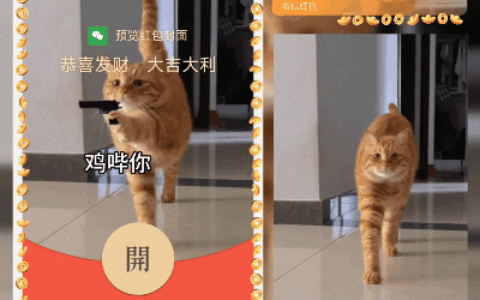 [微信红包封面趣味系列] 鸡哔你猫猫