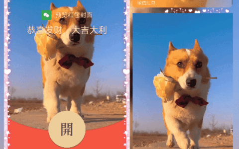 [微信红包封面趣味系列]狗子送花