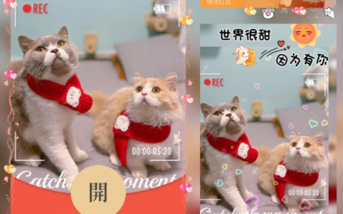 [微信红包封面萌宠系列]希望你快乐/猫咪
