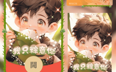 [微信红包封面节日系列]我只粽意你
