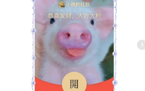 [萌宠系列] 你变成了猪