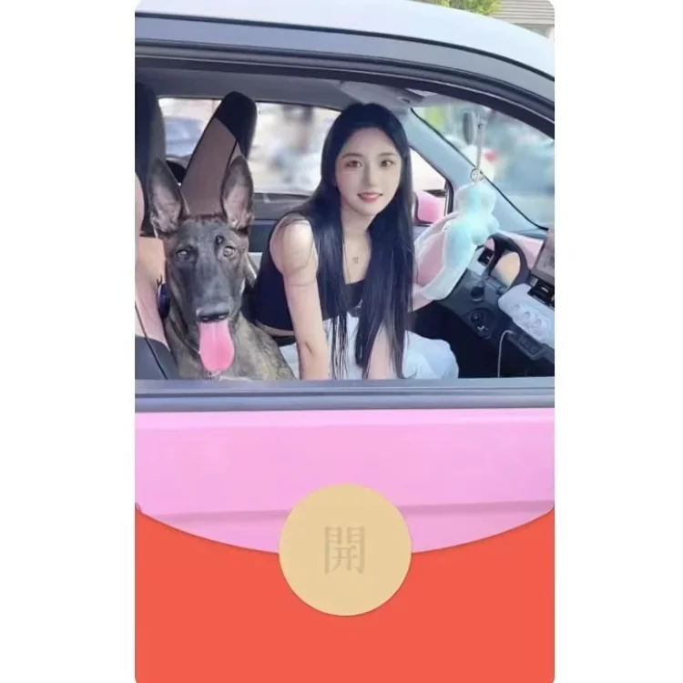 [美女系列] 梦露/DY