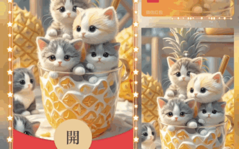 [萌宠系列] 可爱小猫咪/新版动态/bao