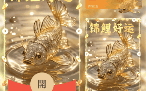 [暴富系列] 好运锦鲤/didi