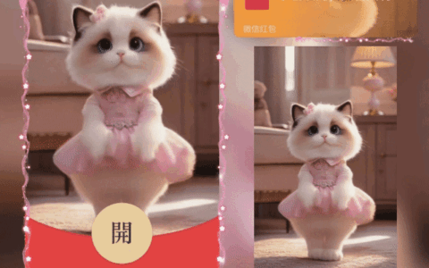 [萌宠系列] 猫猫跳舞 恭喜发财tt