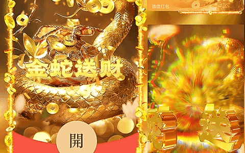[暴富系列]金蛇送财 金钱袋/新版动态bz