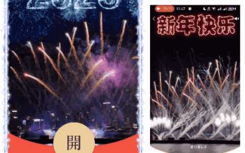 [烟花系列] 2025新年海滨烟花/qq