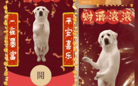 [趣味系列] 狗子跳舞送祝福/新版动态/bao