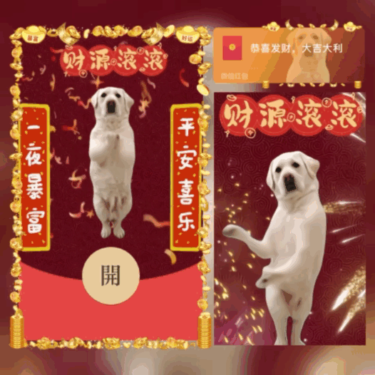 [趣味系列] 狗子跳舞送祝福/新版动态/bao
