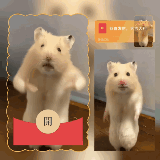 [趣味系列]跳舞老鼠/新版动态/bai