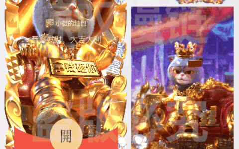 [微信红包封面斑布猫系列]斑布猫/拿钱砸你新款