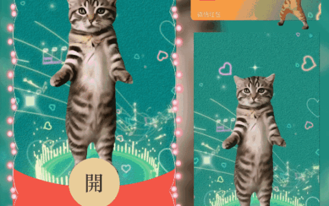 [趣味系列]猫咪跳舞/动态/ln