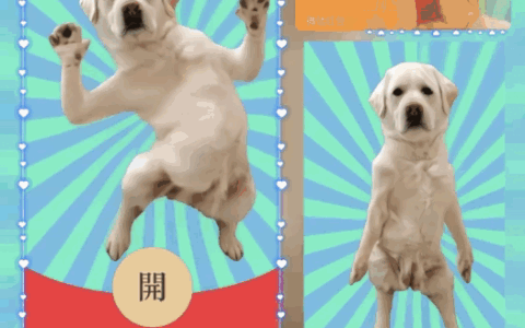 [趣味系列]狗子跳舞/新版动态/bao