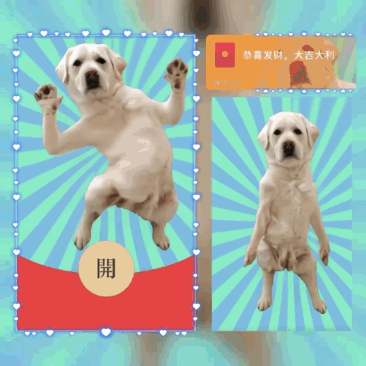 [趣味系列]狗子跳舞/新版动态/bao