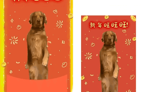 [趣味系列]过年旺旺旺/svip