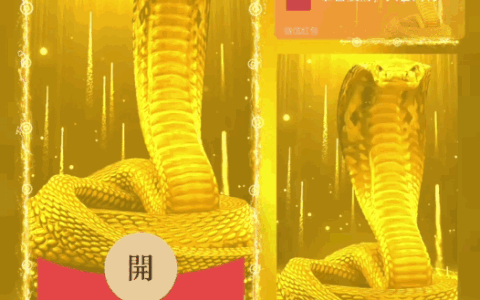 [蛇年系列] 蛇年大吉/bao