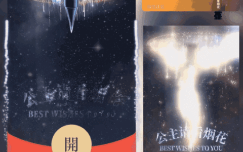 [烟花系列]东风大烟花/公主请看烟花/ln