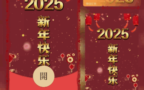 [新年系列]2025新年快乐/bao