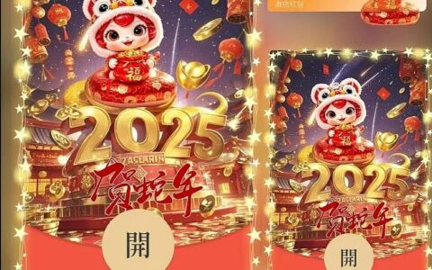 欢乐中国年/ds