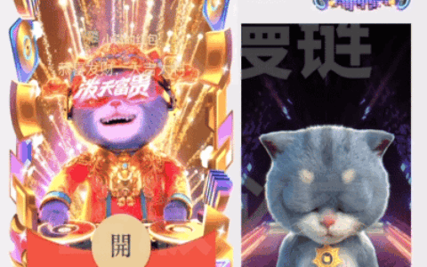 DJ财神泼天富贵/斑布猫