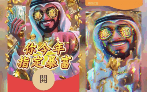 你今年指定暴富/鼓包/中东富豪/bao
