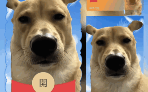 我看你有点狗/bao