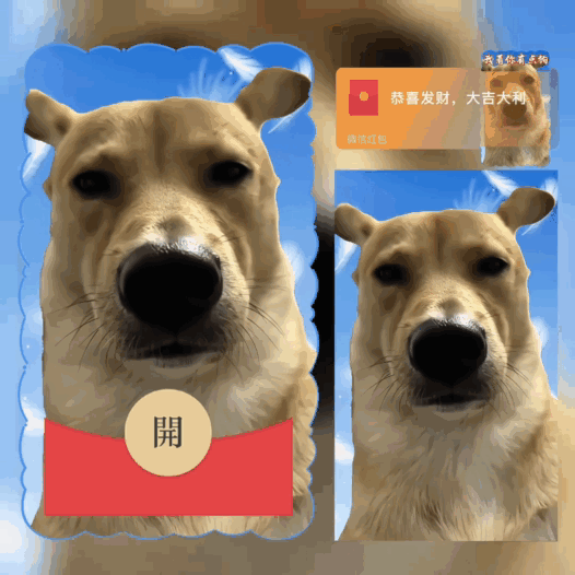 我看你有点狗/bao